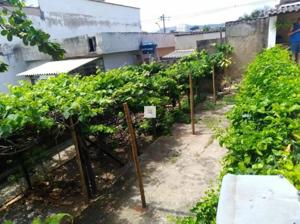 Casa 4 quartos 4 banheiros 280m²