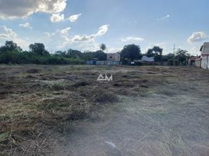 Apartamento 5500m²