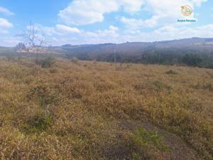 Fazenda 3 quartos 1 banheiro 55ha