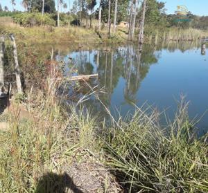 Fazenda 3 quartos 1 banheiro 50ha