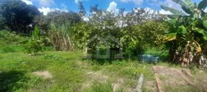 Lote-Área-Terreno 2500m²