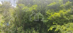 Casa 1 quarto 360m²