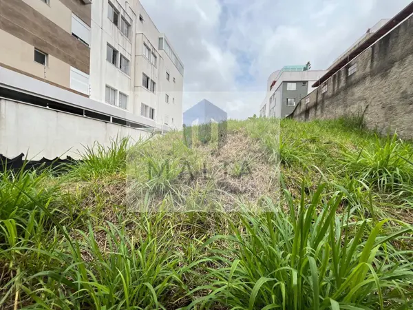 Lote-Área-Terreno 362m²