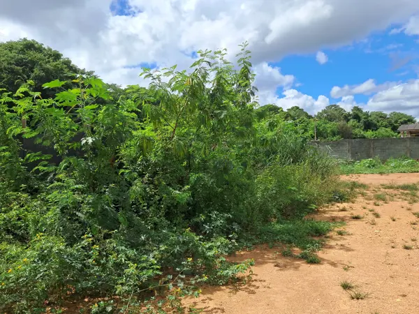 Lote-Área-Terreno 5,22m²
