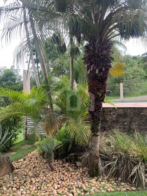 Casa em condomínio 3 quartos 5 banheiros 348m²
