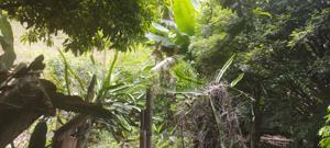 Casa 1 quarto 360m²