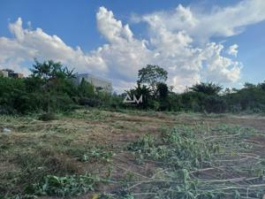 Apartamento 5500m²