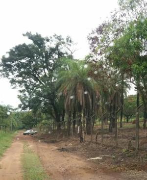 Lote-Área-Terreno 1,2m²
