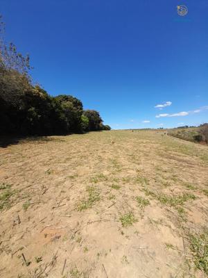 Fazenda 3 quartos 3 banheiros 97ha