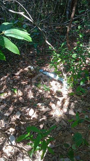 Fazenda 3 quartos 10 vagas 90000ha