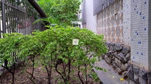 Casa 4 quartos 4 banheiros 280m²