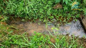 Lote-Área-Terreno 20000m²