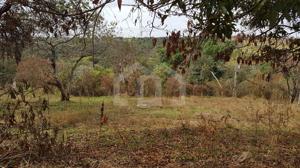 Lote-Área-Terreno 3000m²