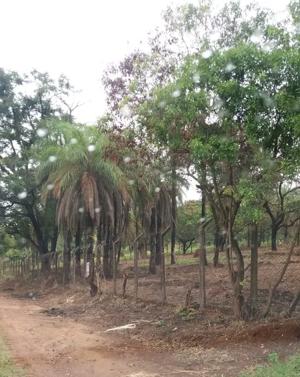 Lote-Área-Terreno 1,2m²