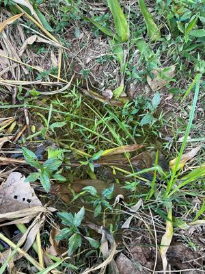 Lote-Área-Terreno 1500m²