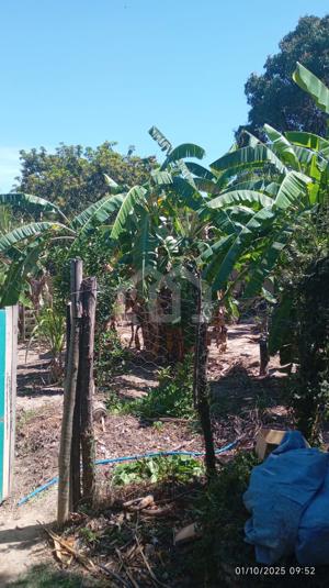 Sítio 3 quartos 2 vagas 1100m²