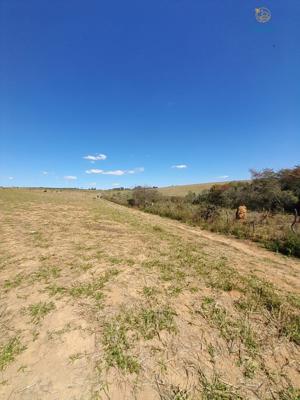 Fazenda 3 quartos 3 banheiros 97ha