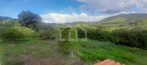 Lote-Área-Terreno 2500m²