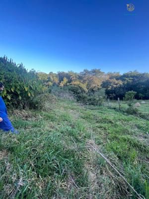 Lote-Área-Terreno 1500m²