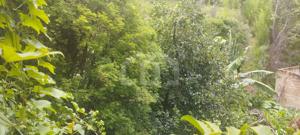 Casa 1 quarto 360m²