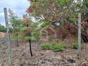 Lote-Área-Terreno 720m²