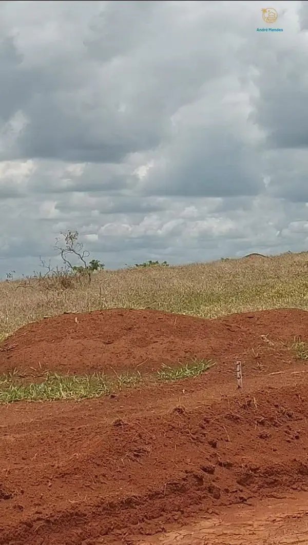 Lote-Área-Terreno 360m²