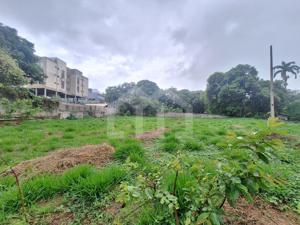 Lote-Área-Terreno 2,712m²