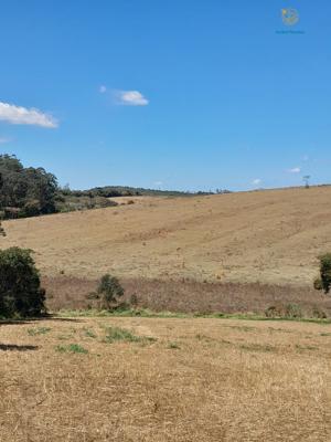 Fazenda 3 quartos 3 banheiros 97ha