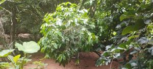 Casa 1 quarto 360m²