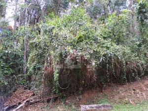 Lote-Área-Terreno 2126,02m²