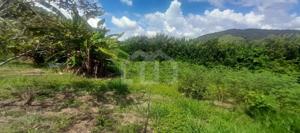 Lote-Área-Terreno 2500m²