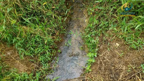 Lote-Área-Terreno 20000m²