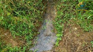 Lote-Área-Terreno 20000m²