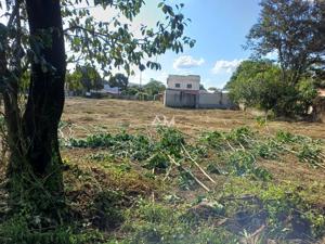 Apartamento 5500m²