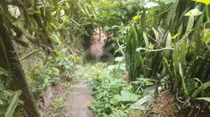 Casa 1 quarto 360m²