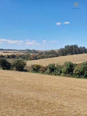 Fazenda 3 quartos 3 banheiros 97ha
