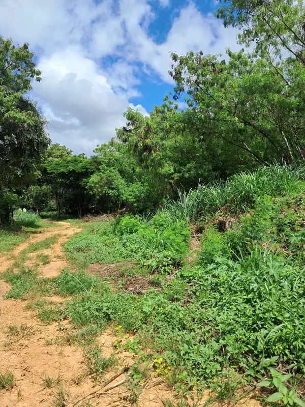 Lote-Área-Terreno 5,22m²
