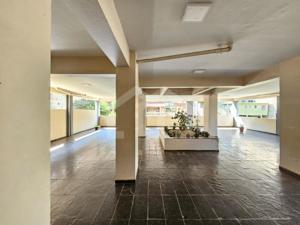 Apartamento 3 quartos 1 vaga 74m²