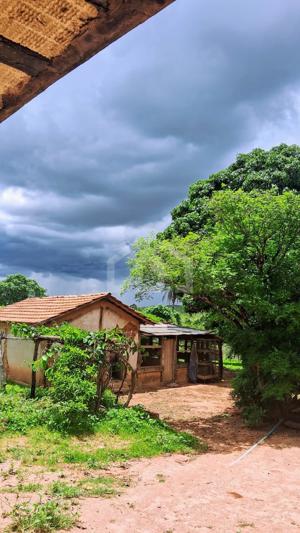Fazenda 