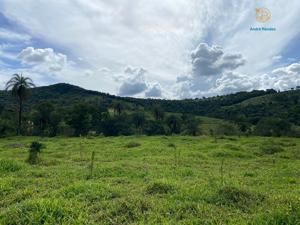 Lote-Área-Terreno 20000m²