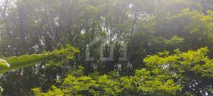 Casa 1 quarto 360m²