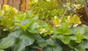 Casa 1 quarto 360m²