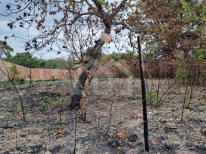 Lote-Área-Terreno 720m²