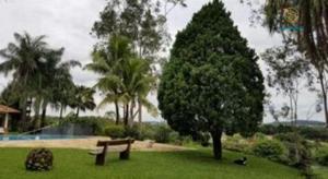 Sítio 4 quartos 5 banheiros 17ha