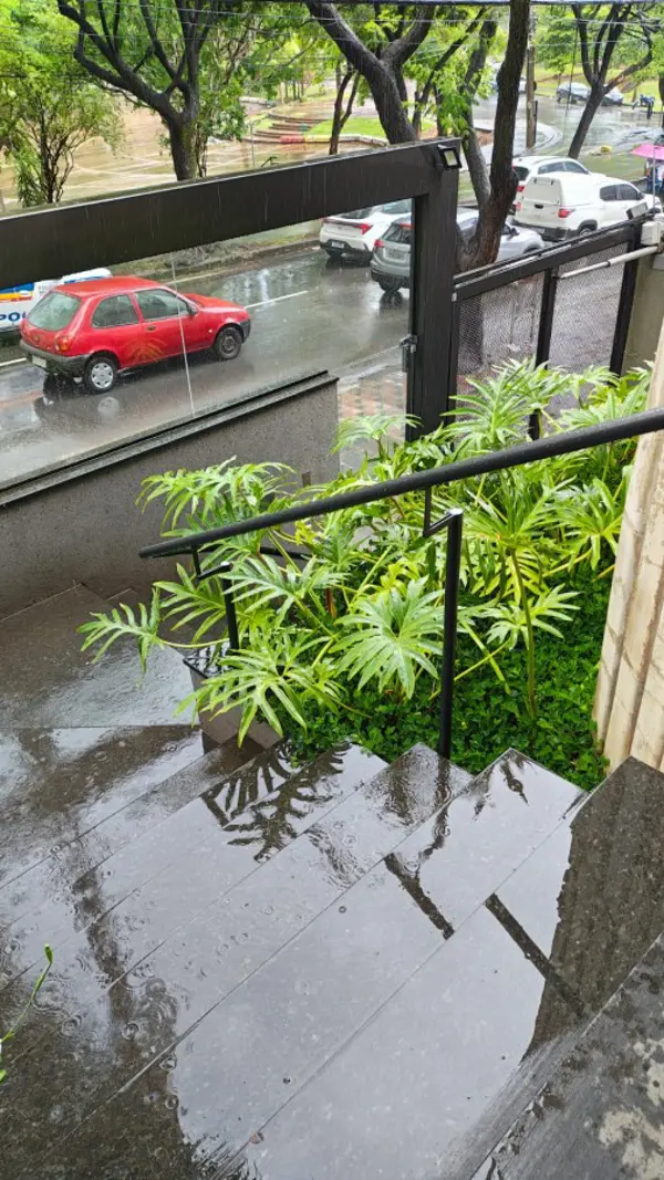 Apartamento 3 quartos 3 banheiros 240m²
