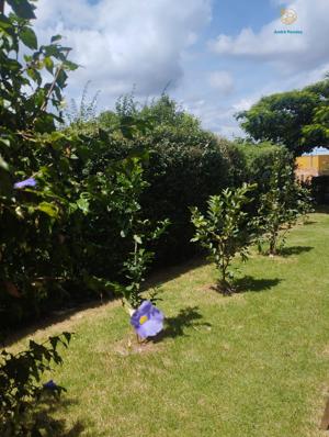 Chácara 5 quartos 2 banheiros 200m²