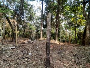 Lote em condomínio 1016,5m²