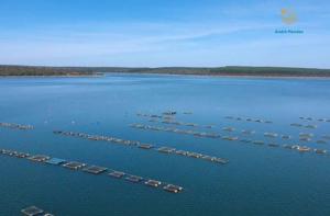 Lote-Área-Terreno 360m²