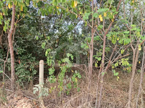 Lote-Área-Terreno 