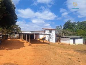 Fazenda 3 quartos 1 banheiro 55ha